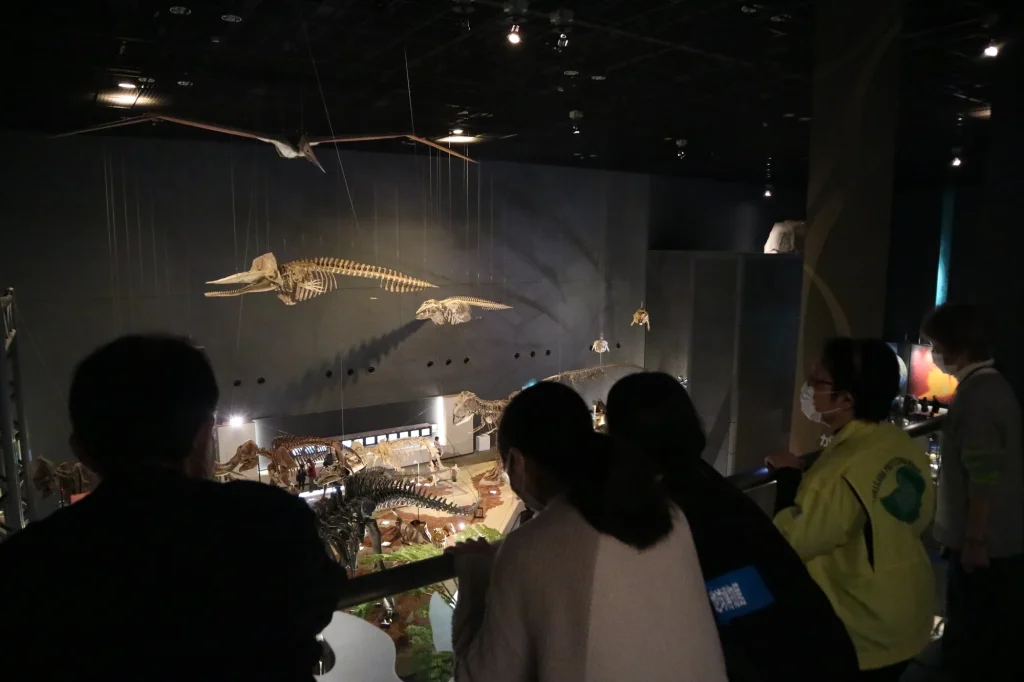 ワークショップ参加者が3階の吹き抜けから、1階の博物館展示を覗き込む様子。恐竜の化石などが見えています。